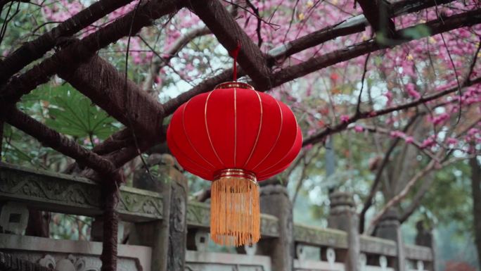 拜佛寺院宗教烧香青城山菩提寺空镜灰片