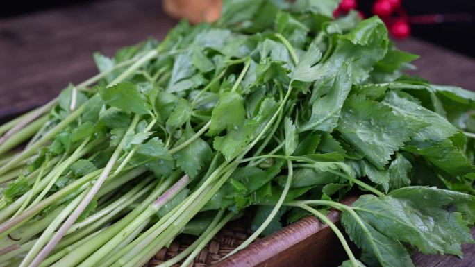 野菜  山菜 山野菜