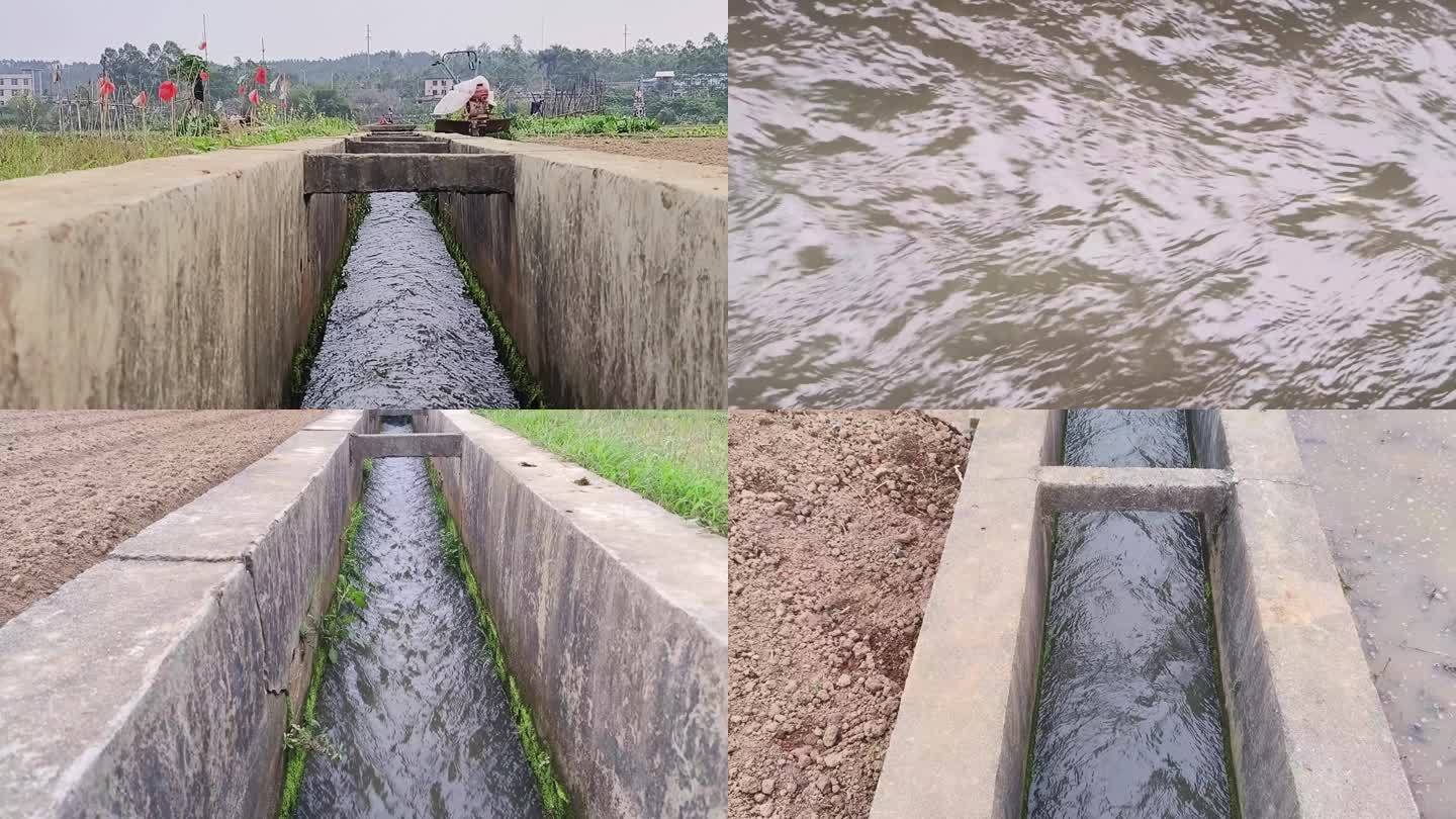 农作物庄家 水渠农业浇水 水利工程 流水