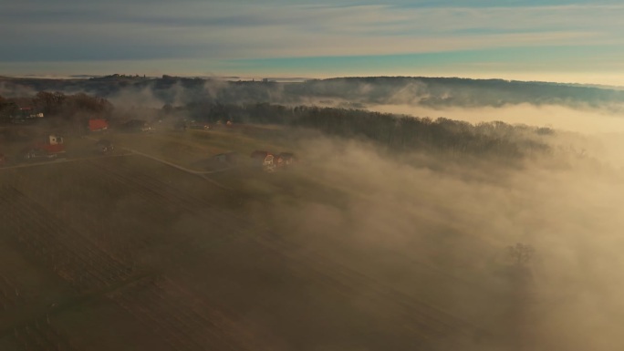 云天下被雾笼罩的农田和树木鸟瞰图