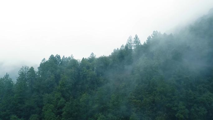 清晨雨后云雾缥缈的大山仙境穿云航拍拍