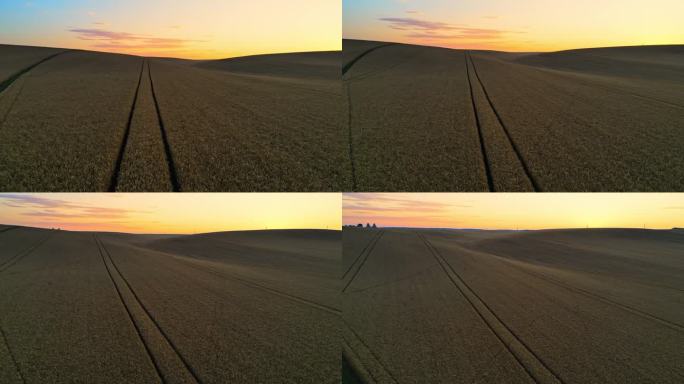 日出时无人机拍摄的农田风景