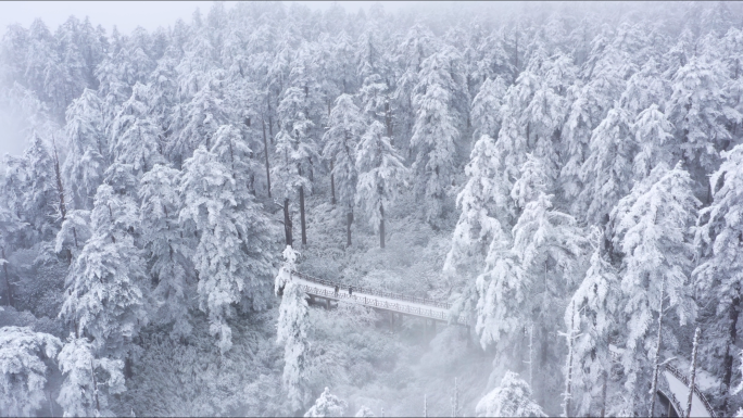 航拍森林雪景