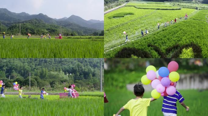 儿童气球稻田乡野欢乐奔跑的孩子们多机位