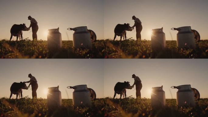 牧场上，一个送奶工站在一头奶牛旁边。美丽的夕阳照亮了他们的剪影