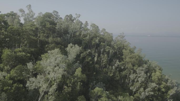 深圳海边的山坡