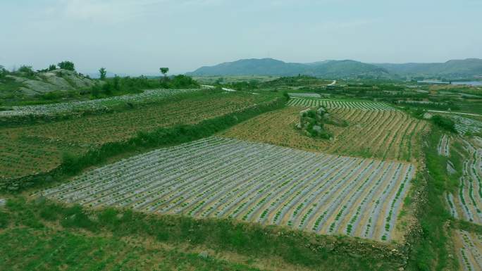 花生地、水库、风能、山