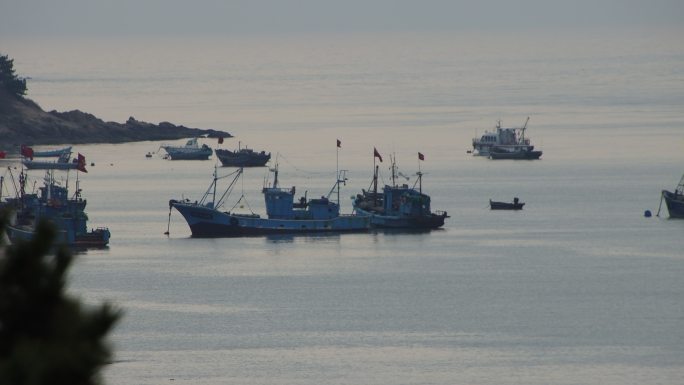 威海市环翠区合庆湾春季停泊的渔船港湾