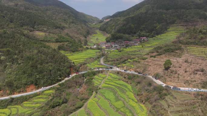 美丽乡村油菜花航拍