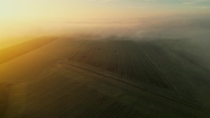 日出时雾气笼罩的风景优美的农田