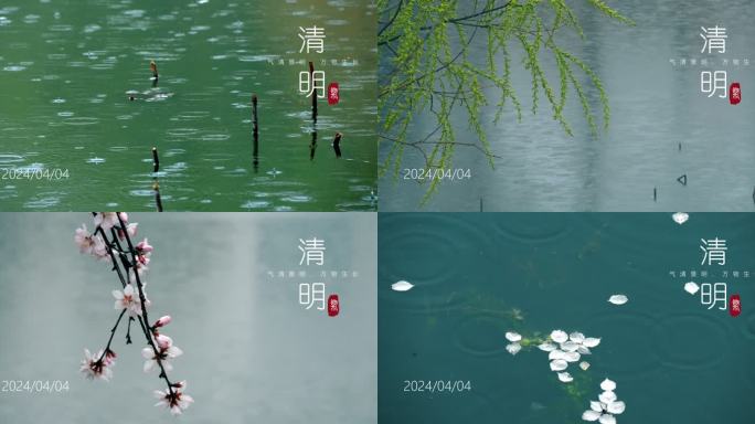 清明清明 雨水 谷雨 节气 春雨