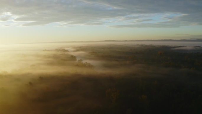 鸟瞰穆尔河蜿蜒穿过浓雾笼罩的茂密森林