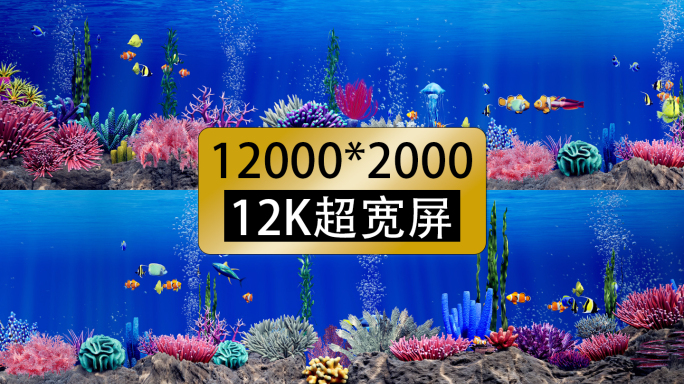 12k海底世界海洋鱼群宽屏视频素材
