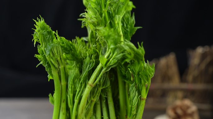 东北山野菜刺嫩芽