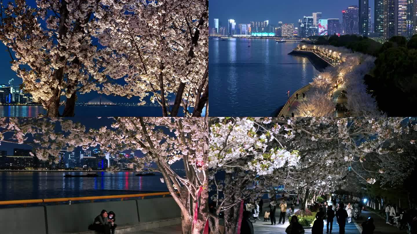 杭州滨江樱花跑道夜景4k素材