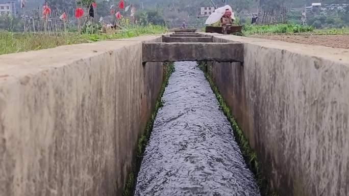 庄家水渠农业浇水水利工程流水灌溉田间