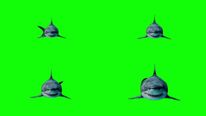 可怕的鲨鱼袭击观众