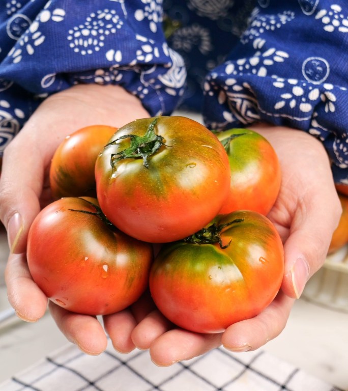 西红柿 绿腚西红柿  草莓西红柿