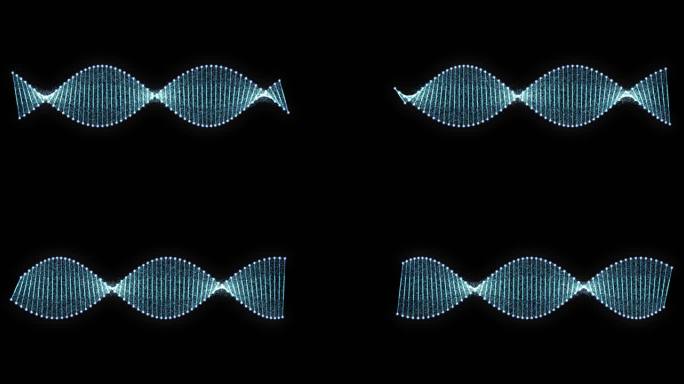 人体DNA旋转动画