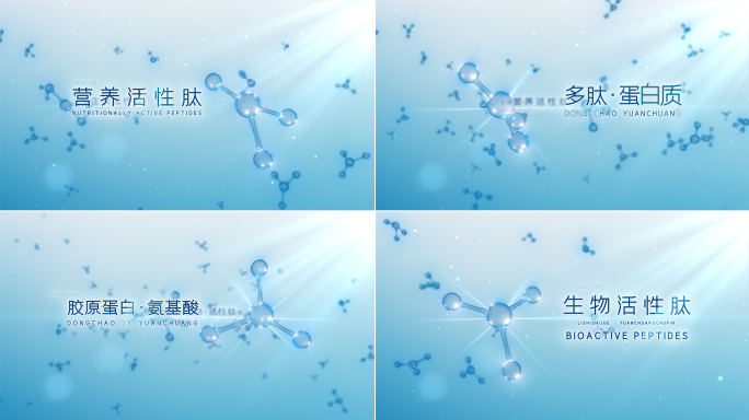 分子细胞DNA