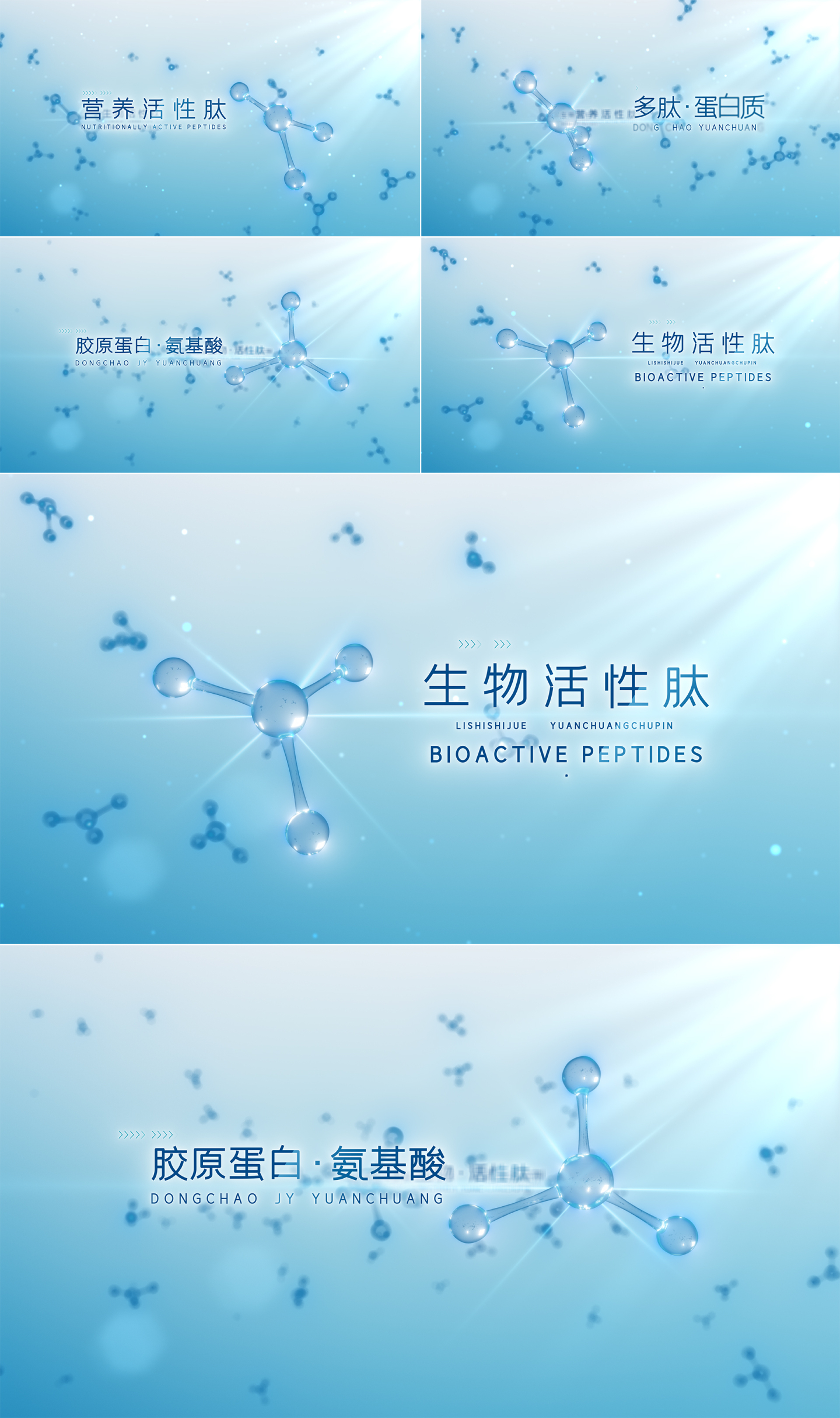 分子细胞DNA