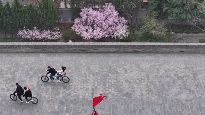 西安地标广仁寺寺庙红墙拱门山桃花春天航拍