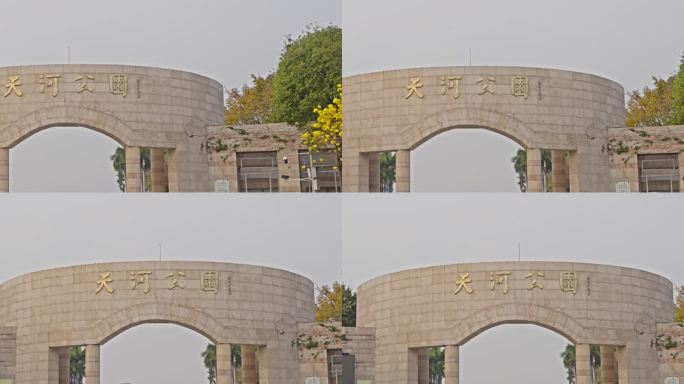 4K实拍羊城广州天河公园大门前的黄色花朵