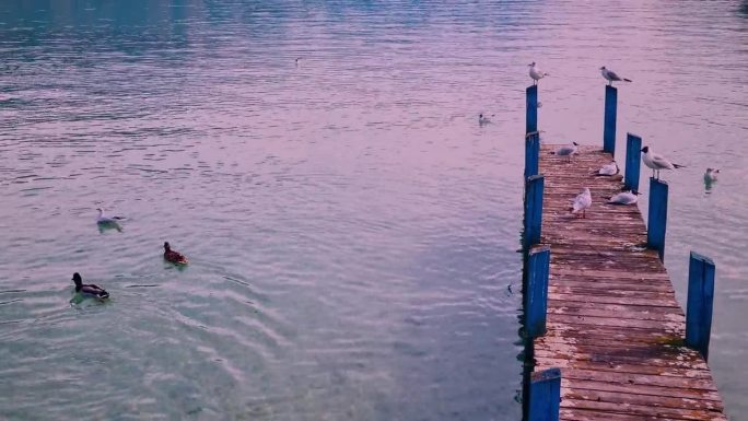 法国安纳西，安纳西湖畔码头，被誉为阿尔卑斯山的威尼斯，历史文化旅游概念名城，假日度假