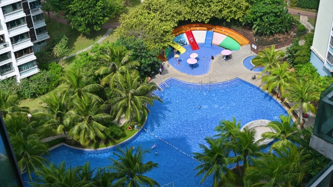 夏天椰树与蓝色游泳池航拍高视角