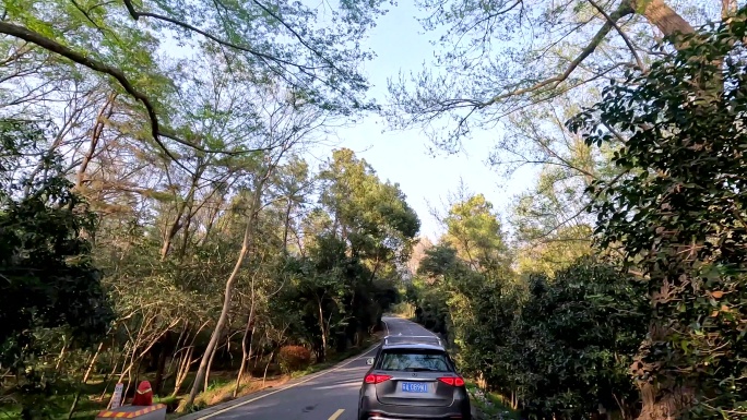 紫金山景区道路