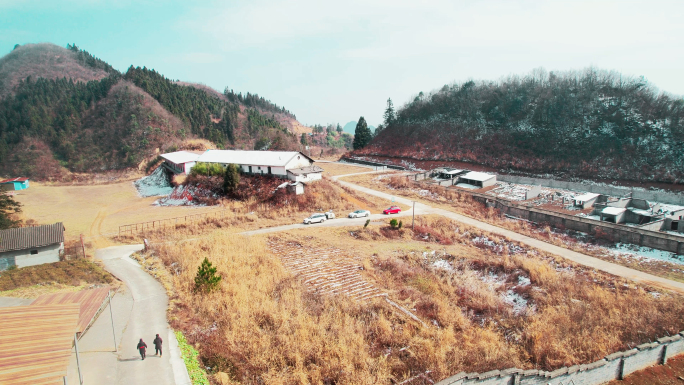 【高山】梅花鹿养殖基地