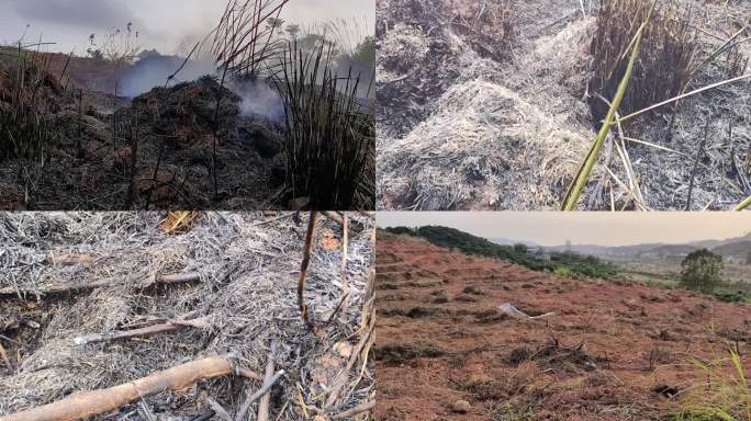 实拍土坡火灾过后烟雾灰烬开垦改良荒野山坡