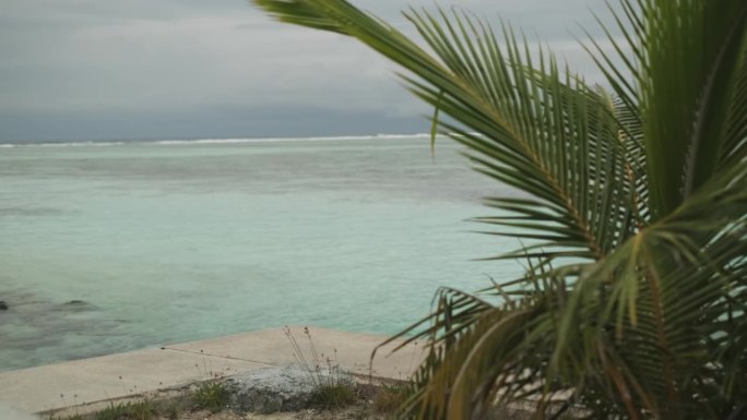 棕榈树下的海滨护墙。背景是沙滩、海浪和多云的天空。马尔代夫。