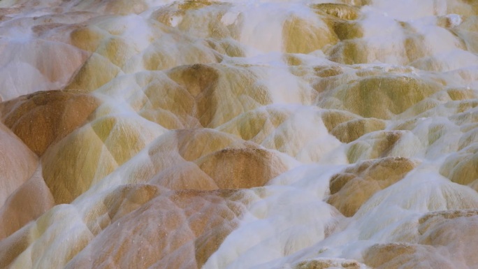 黄石国家公园里的猛犸温泉