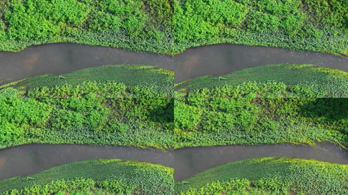 春天的小溪流水