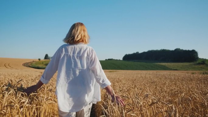 一位女农民走在一望无际的黄麦地上。后视图