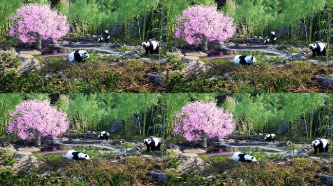 三维3D写实大熊猫场景4K渲染动画