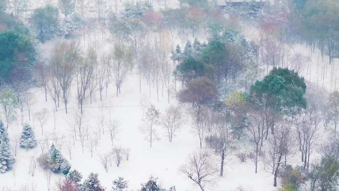 辽宁鞍山二一九玉佛苑景区雪景超清素材13