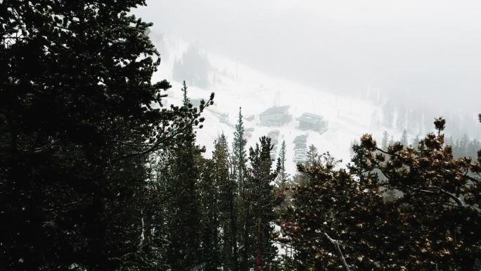 无人机拍摄的山间白雪覆盖的树木，后面有小屋和停着的汽车