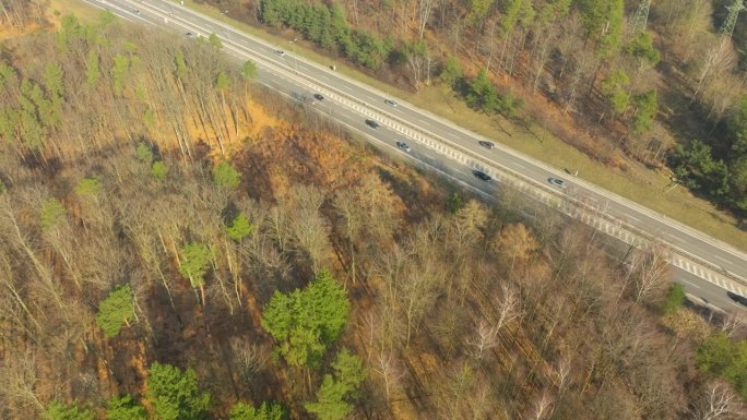 在格丁尼亚附近的一条公路上拍摄的航拍照片显示，公路两旁的常绿树木和休眠的落叶树木形成了鲜明的对比，在