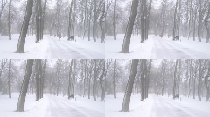 暴风雪中，一位妇女在公园里散步。