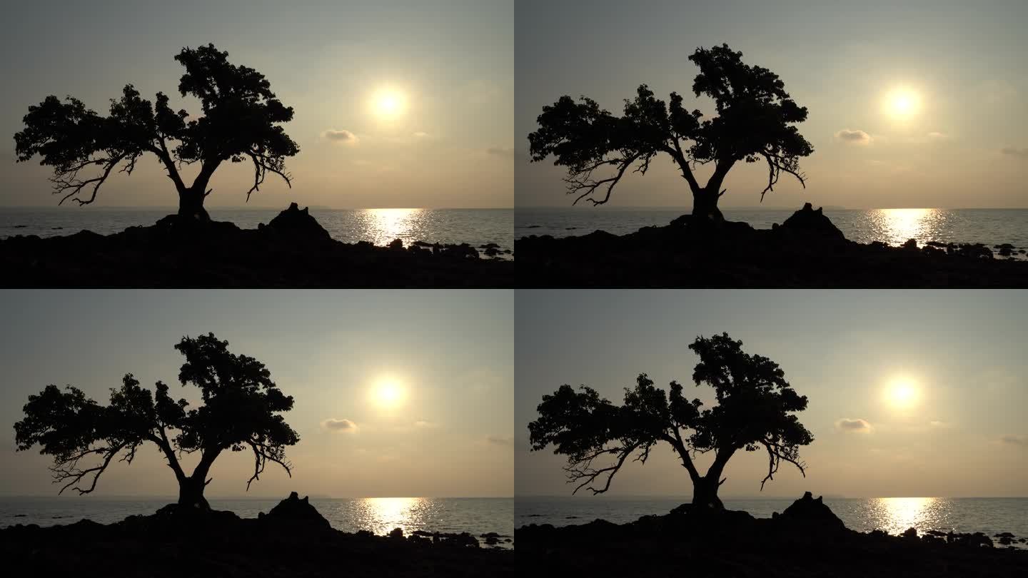 在泰国叻省的纸岛，海面上的日落和一棵树