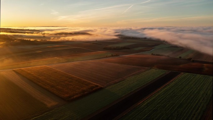 超延时无人机拍摄雾移动田园诗般的农村农田在日出