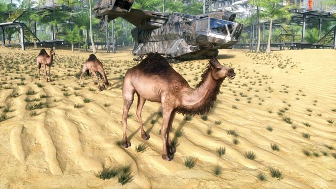 骆驼在未来的沙漠中行走，科幻城市。未来的建筑概念。逼真的4k动画。