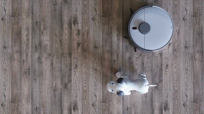 小有趣的机器人智能狗和吸尘器机器人。4 k动画。