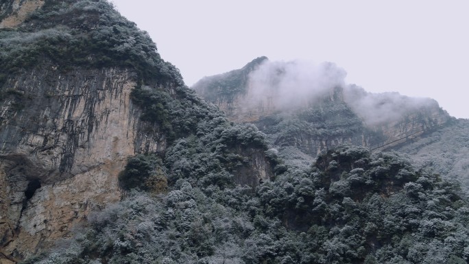 老者大雪山间弹古琴