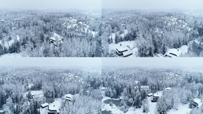 在冬季暴风雪期间飞回白雪覆盖的乡村。空中回射