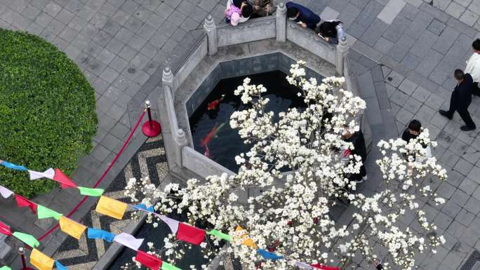 西安地标广仁寺寺庙红墙拱门山桃花春天航拍