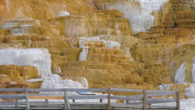 黄石国家公园猛犸温泉的天然彩色矿床梯田