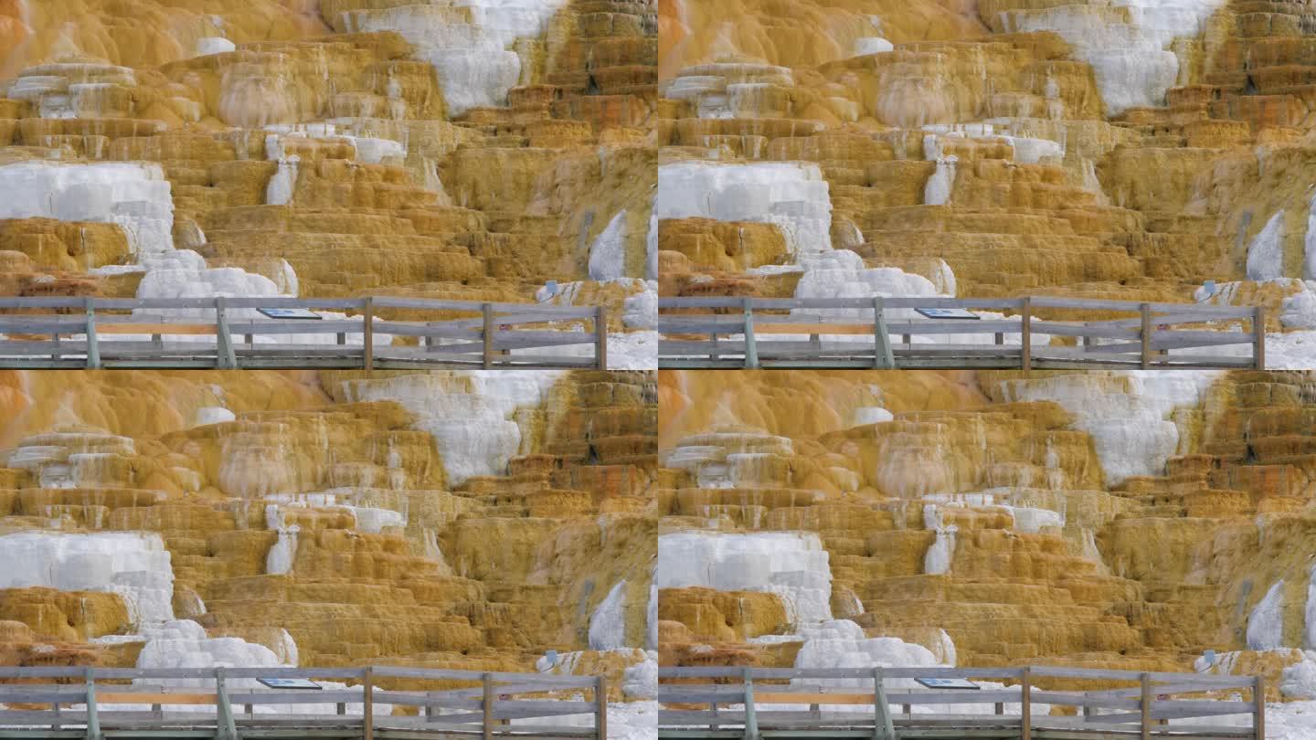 黄石国家公园猛犸温泉的天然彩色矿床梯田